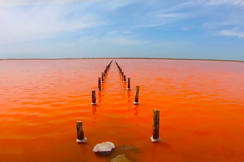 Pink Sea in Cartagena